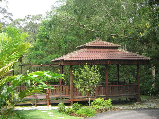 Malaysia institutt for skogsforskning